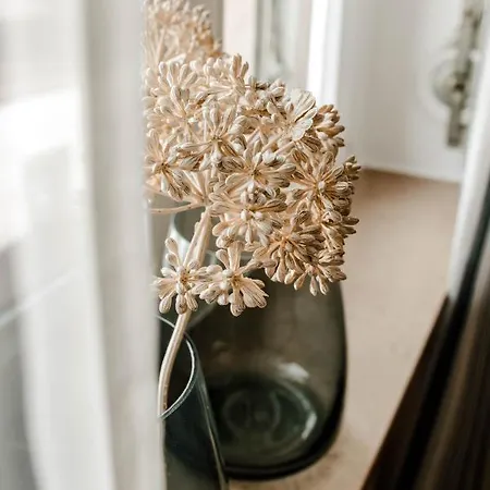 Апартаменты Little Loft Limburg *