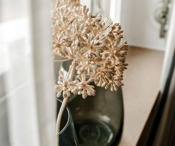 Apartamento Little Loft Limburg *